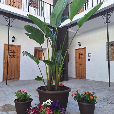 Suite San Mateos 15 Jerez de la Frontera Exterior photo
